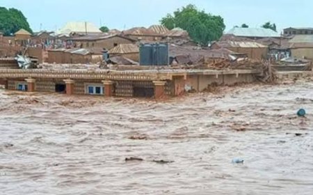 വടക്കന്‍ നൈജീരിയയിൽ മിന്നൽ പ്രളയം; 117 മരണം
