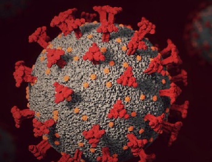 അമേരിക്കയിൽ ഭീതിയായി പുതിയ കോവിഡ് വകഭേദം 'സിക്കഡ'; കഠിനമായ തൊണ്ടവേദന പ്രധാന ലക്ഷണം