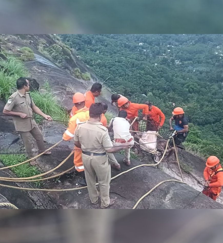 കോട്ടപ്പാറ വ്യൂ പോയിന്‍റില്‍നിന്ന് കൊക്കയില്‍ വീണ യുവാവിന് അത്ഭുത രക്ഷപ്പെടല്‍ 