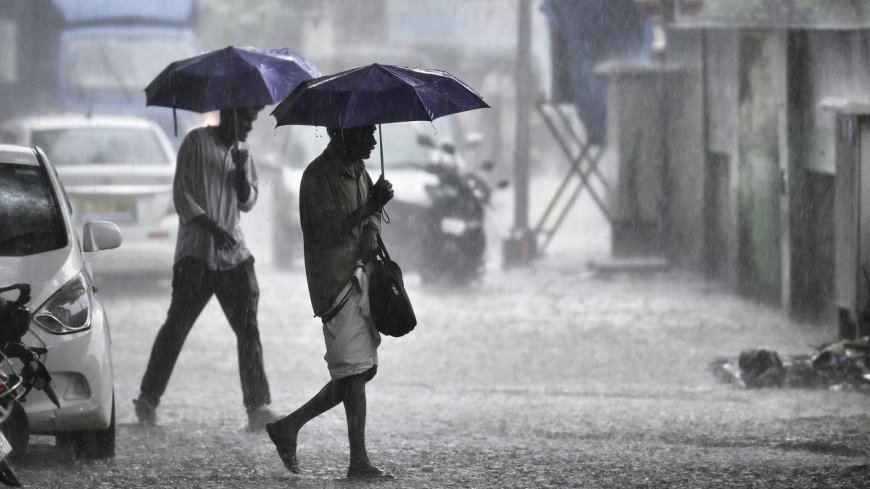 കാലവർഷം; സംസ്ഥാനത്ത് ഏറ്റവും കൂടുതല്‍ മഴ കണ്ണൂര്‍ ജില്ലയില്‍