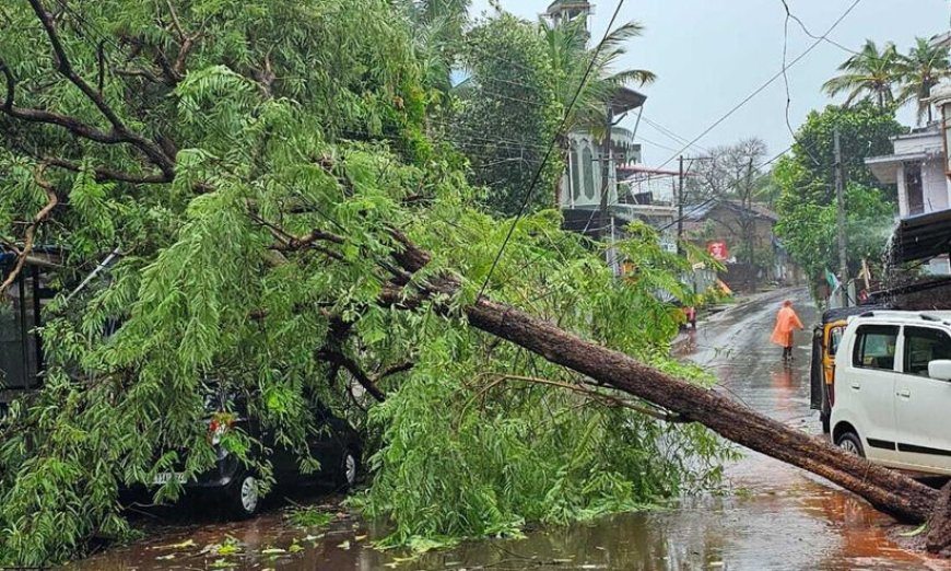 മഴക്കെടുതി: തിരുവനന്തപുരം ജില്ലയിൽ മരം വീണ് നിരവധി വീടുകള്‍ തകര്‍ന്നു