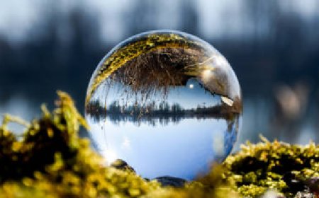 ഒരു തൈ നടാം... ലോക പരിസ്ഥിതി ദിനത്തിൽ വൃക്ഷവത്കരണ ദൗത്യവുമായി ഹരിതകേരളം മിഷൻ