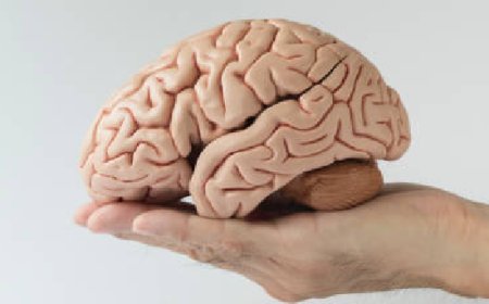 വ്യായാമത്തിലൂടെ തലച്ചോറിന്‍റെ ആരോഗ്യം സംരക്ഷിക്കാം; ശ്രദ്ധിക്കാം ഇക്കാര്യങ്ങള്‍