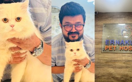 എറണാകുളം പെറ്റ് ഹോസ്പിറ്റലിനെതിരെ പൊലീസിൽ പരാതി നൽകി നാദിർഷ