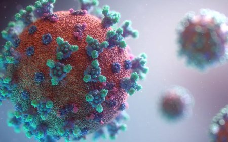 രാജ്യത്ത് 24 മണിക്കൂറിനിടെ 11 കൊവിഡ് മരണം