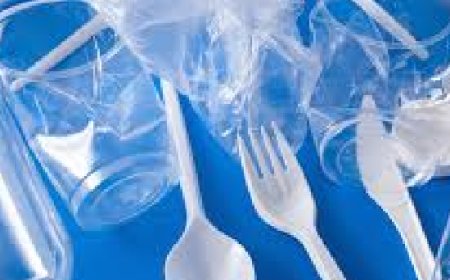 വിവാഹ ചടങ്ങുകളിലും മലയോര വിനോദസഞ്ചാര കേന്ദ്രങ്ങളിലും ഒറ്റത്തവണ ഉപയോഗിക്കുന്ന പ്ലാസ്റ്റിക്കിന് നിരോധനം