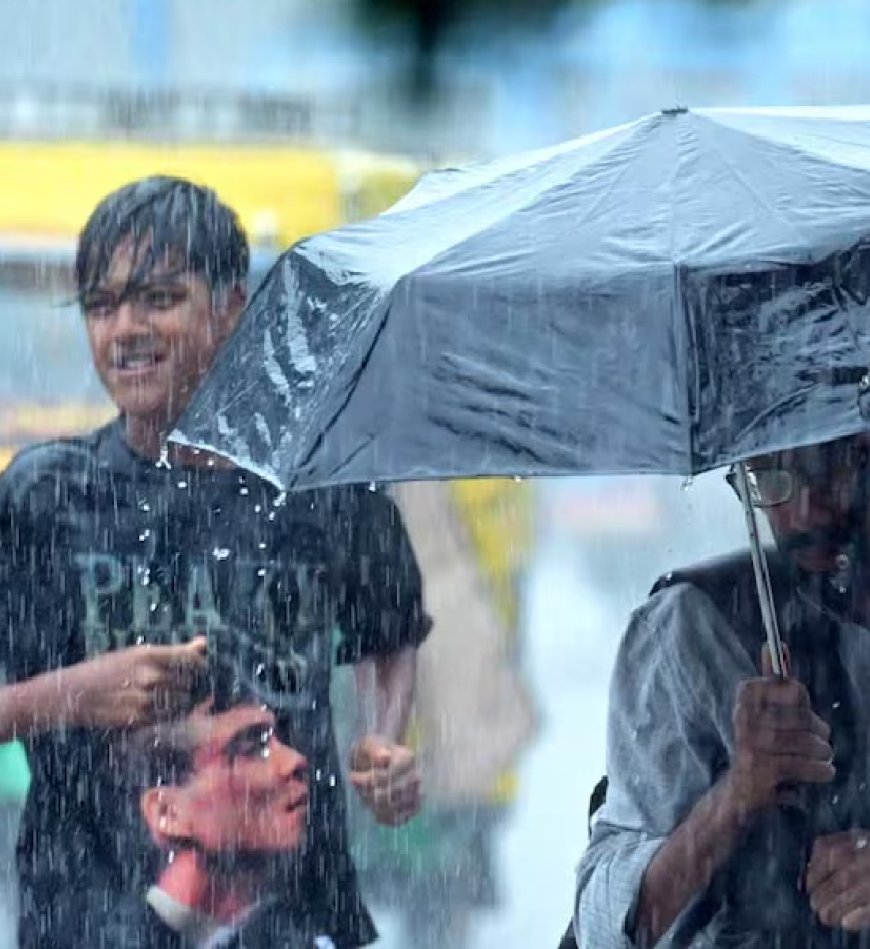 വെള്ളക്കെട്ട്: കുട്ടനാട് താലൂക്കിൽ വിദ്യാഭ്യാസ സ്ഥാപനങ്ങൾക്ക് നാളെ അവധി