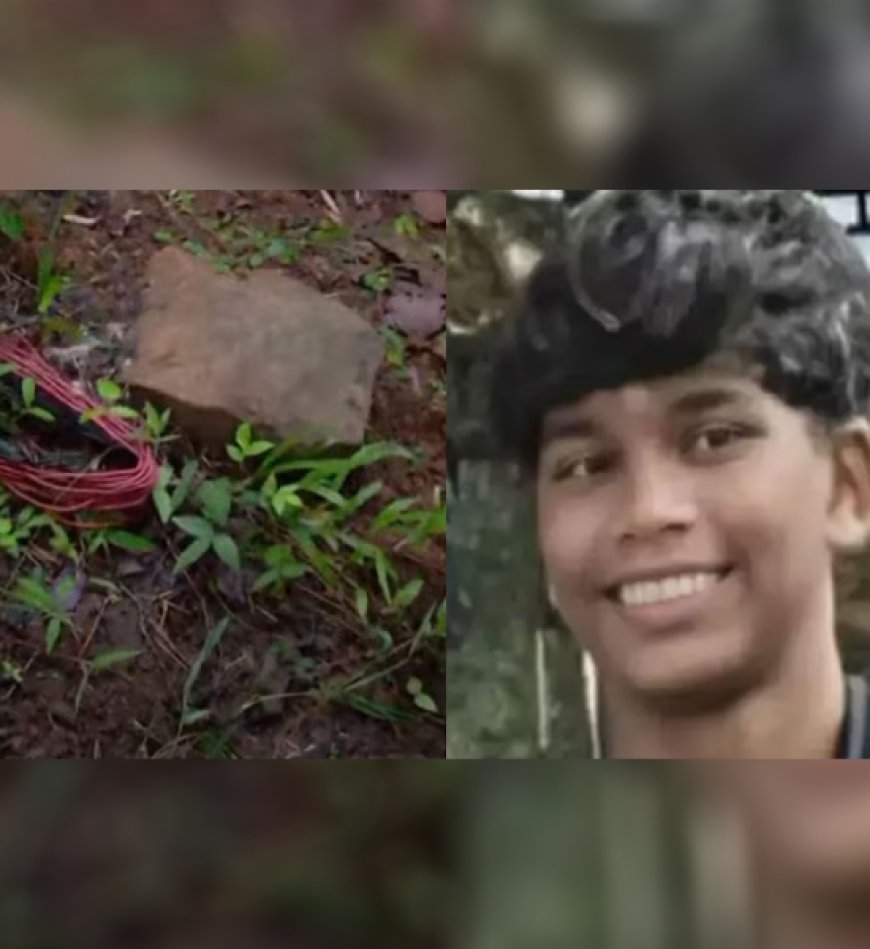 പന്നിക്കെണിയില്‍നിന്ന് ഷോക്കേറ്റ് വിദ്യാര്‍ഥി മരിച്ചു; രണ്ട് പേര്‍ക്ക് പരിക്ക്, ഒരാളുടെ നില ഗുരുതരം