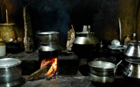 നിരന്തരമായ പാചക ഇന്ധന ഉപയോഗം സ്ത്രീകളുടെ തലച്ചോറില്‍ പ്രതികൂല ഫലങ്ങള്‍ ഉണ്ടാക്കുമെന്ന് പഠനം