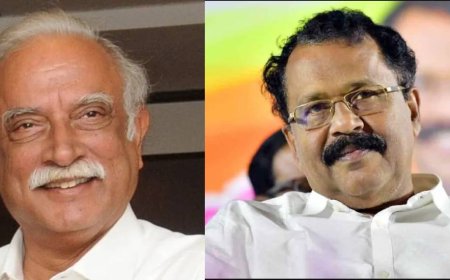 ഗോവ ഗവർണർ സ്ഥാനത്ത് നിന്ന് പി എസ് ശ്രീധരന്‍ പിള്ളയെ മാറ്റി; പുതിയ ഗവര്‍ണറെ നിയമിച്ചു