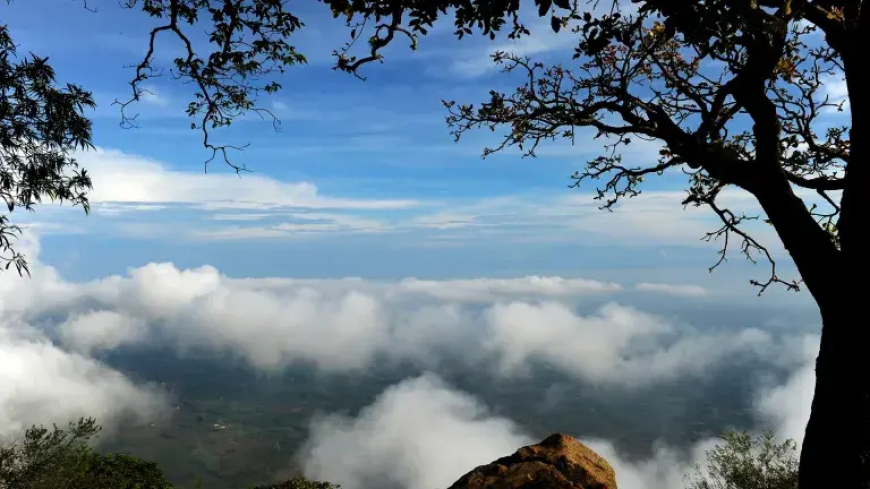 ഹരിത ഡെസ്റ്റിനേഷനാകാനൊരുങ്ങി നെല്ലിയാമ്പതി;  ഒക്ടോബര്‍ രണ്ടു മുതല്‍ പ്ലാസ്റ്റിക് നിരോധനം