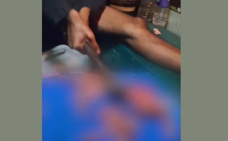 പൂച്ചയെ കൊന്ന് ഇൻസ്റ്റഗ്രാമിൽ പോസ്റ്റ് ചെയ്ത സംഭവം; യുവാവിനെതിരെ പോലീസ് കേസെടുത്തു