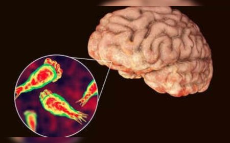 സംസ്ഥാനത്ത് ഒരാള്‍ക്ക് കൂടി അമീബിക് മസ്തിഷ്‌കജ്വരം