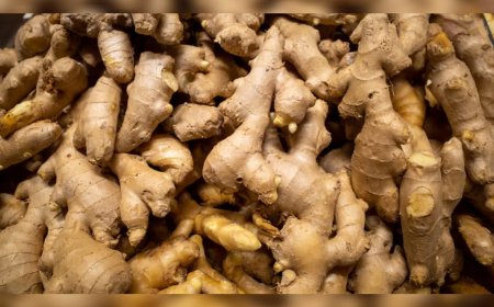 ദഹനപ്രശ്നങ്ങള്‍ അകറ്റുന്ന ഇഞ്ചി, പലതുണ്ട് ഗുണങ്ങള്‍ !