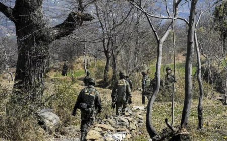 ജമ്മുകശ്മീരിൽ നിയന്ത്രണ രേഖയോട് ചേർന്ന പ്രദേശങ്ങളിൽ പാക് ഡ്രോണുകൾ; തെരച്ചിലാരംഭിച്ച് സുരക്ഷാസേന