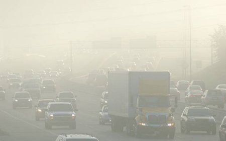 വായു മലിനീകരണം മനുഷ്യരില്‍ മറവിരോഗ സാധ്യത വര്‍ധിപ്പിക്കുമെന്ന് പഠനം