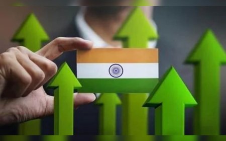 തീരുവ 50 ശതമാനമായി ഉയര്‍ത്താനുള്ള അമേരിക്കയുടെ തീരുമാനം; ഇന്ത്യന്‍ സാമ്പത്തിക മേഖലയെ ബാധിക്കില്ലെന്ന് ഫിച്ച്