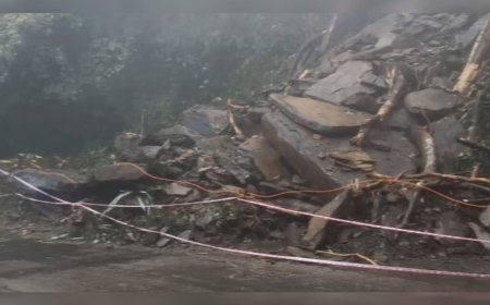 വയനാട് ചുരം വ്യൂ പോയിന്‍റില്‍ മണ്ണിടിഞ്ഞ പ്രദേശത്തെ വാഹനഗതാഗതം ഭാഗികമായി പുന:സ്ഥാപിച്ചു