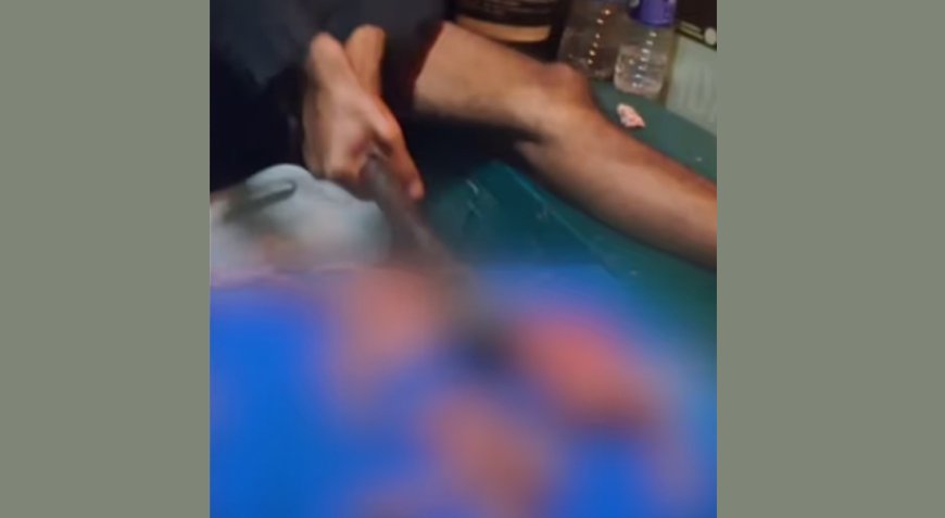 പൂച്ചയെ കൊന്ന് ഇൻസ്റ്റഗ്രാമിൽ പോസ്റ്റ് ചെയ്ത സംഭവം; യുവാവിനെതിരെ പോലീസ് കേസെടുത്തു