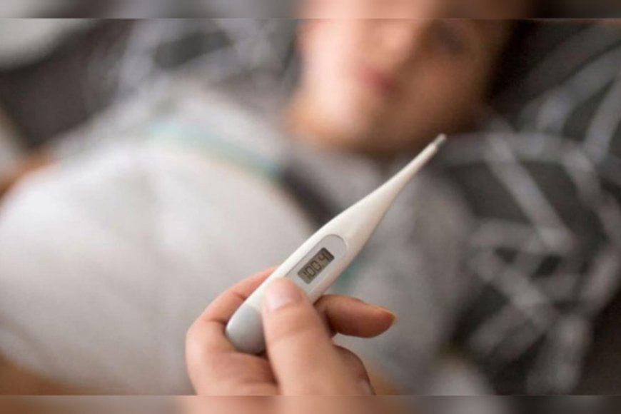 ഇന്‍ഫ്ളുവന്‍സ, വൈറല്‍ പനി: പ്രതിരോധ ശീലങ്ങള്‍ പാലിക്കണം