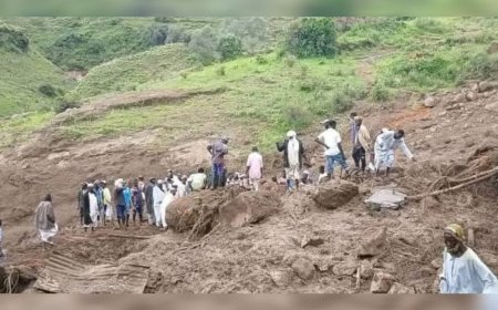 സുഡാനിൽ മണ്ണിടിച്ചിൽ; 1,000 ത്തിലേറെ പേർ മരിച്ചു