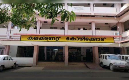 ഓണാഘോഷത്തിനിടെ കളക്ടറേറ്റിലെ ജീവനക്കാരിക്ക് നേരേ ലൈംഗികാതിക്രമം; ജീവനക്കാരന് സസ്പെന്‍ഷന്‍