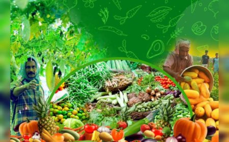 സംസ്ഥാനത്തെ കർഷക ചന്തകളിൽ ആദ്യ ദിനം സംഭരിച്ചത് 4.7 കോടിയുടെ പച്ചക്കറികൾ