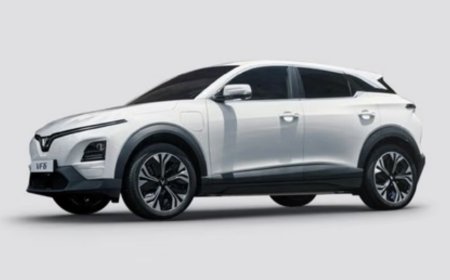 വിന്‍ഫാസ്റ്റ് ആദ്യ ഇവി കാറുകള്‍ ഇന്ത്യയില്‍ പുറത്തിറക്കി; പ്രധാന ഫീച്ചറുകള്‍ അറിയാം