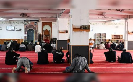 പാരിസില്‍ മുസ്‌ലിം പള്ളികൾക്ക് പുറത്ത് പന്നിയുടെ തല കണ്ടെത്തി