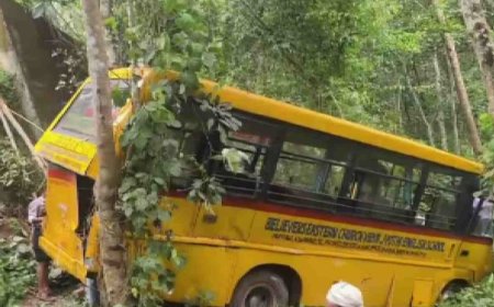 നിലമേലില്‍ സ്കൂള്‍ ബസ് മറിഞ്ഞ് അപകടം; ഡ്രൈവര്‍ അടക്കം 24 പേര്‍ക്ക് 