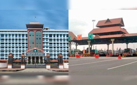 പാലിയേക്കരയിൽ ടോൾ പിരിവിന് ഏർപ്പെടുത്തിയ വിലക്ക് തുടരുമെന്ന് ഹൈക്കോടതി