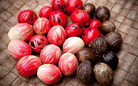 ഒന്നല്ല രണ്ടല്ല, ജാതിക്ക കൊണ്ട് പലതുണ്ട് ഗുണങ്ങള്‍ !