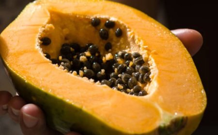 കുടലിന്‍റെ ആരോഗ്യം മെച്ചപ്പെടുത്താം, പപ്പായ നമ്പര്‍ വണ്‍