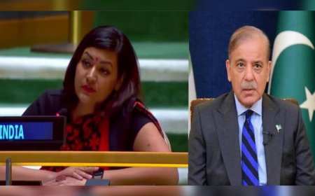 ഐക്യരാഷ്ട്രസഭയിൽ പാക്കിസ്ഥാനെതിരേ രൂക്ഷ വിമർശനവുമായി ഇന്ത്യ