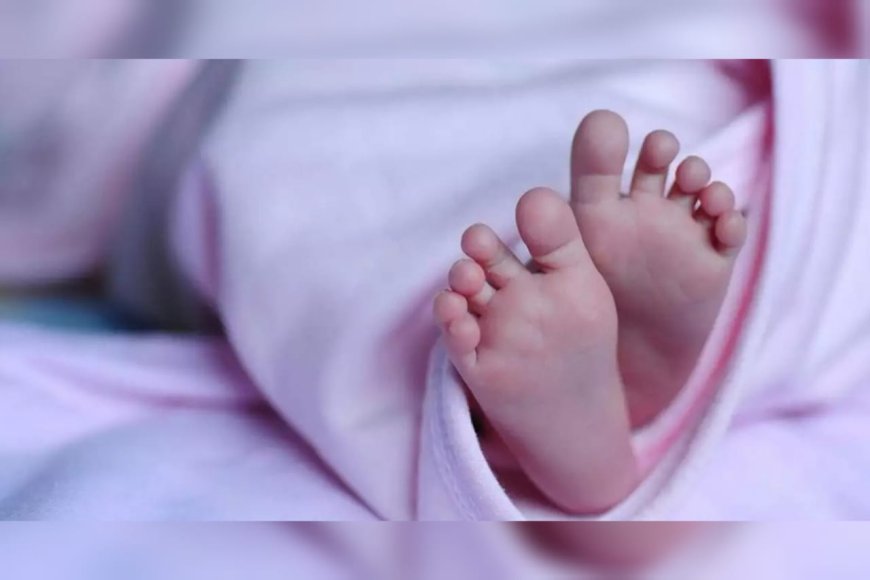 കരയാതിരിക്കാന്‍ 15 ദിവസം പ്രായമായ കുഞ്ഞിന്റെ വായയില്‍ കല്ല് തിരുകിയ ശേഷം പശതേച്ച് ഒട്ടിച്ച് ഉപേക്ഷിച്ചു;  15 ദിവസം പ്രായമായ കുഞ്ഞിനെ ഉപേക്ഷിച്ച നിലയിൽ കണ്ടെത്തി