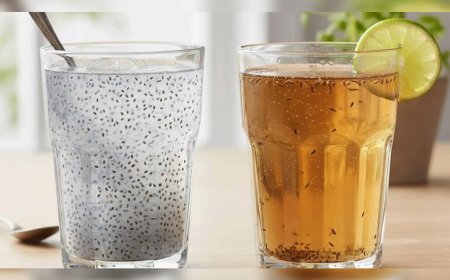 ശരീരഭാരം കുറയ്ക്കാം, ചിയ വിത്തും ജീരക വെള്ളവും 