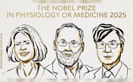 2025ലെ വൈദ്യശാസ്ത്ര നൊബേൽ പുരസ്കാരം മൂന്നുപേര്‍ക്ക്