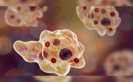 സംസ്ഥാനത്ത് അമീബിക് മസ്തിഷ്‌ക ജ്വരം ബാധിച്ച് ഒരു മരണം കൂടി, ഒന്നരമാസത്തിനിടെ മരിച്ചത് 15 ആയി