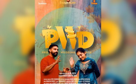 "കോമഡിയിൽ പറഞ്ഞ് തീർത്ത വിപ്ലവം": 'പി ഡബ്ള്യു ഡി' സൈന പ്ലേയിൽ റിലീസ്; വിവാഹബന്ധത്തെക്കുറിച്ചുള്ള പുതിയ ചിന്തകൾക്ക് തുടക്കം