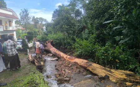ഇടുക്കിയിൽ കനത്ത മഴ നാശനഷ്ടമുണ്ടാക്കി; മുല്ലപ്പെരിയാർ ഡാമിന്‍റെ ഷട്ടറുകൾ തുറന്നു