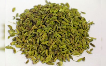 ദഹനത്തിന് ഉത്തമം, ശരീരത്തിന് തണുപ്പ്: അടുക്കളയിലെ അത്ഭുതമാണ് പെരുംജീരകം