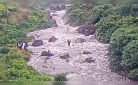 വിനോദസഞ്ചാരികളുടെ ശ്രദ്ധയ്ക്ക്; വാല്‍പാറയിലേക്ക് നവംബര്‍ ഒന്നുമുതല്‍ ഇ- പാസ് നിര്‍ബന്ധം