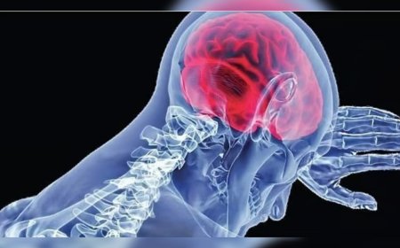 വീണ്ടും അമീബിക് മസ്തിഷ്‌കജ്വരം ബാധിച്ച് മരണം: സംസ്ഥാനത്ത് രോഗബാധയെക്കുറിച്ചുള്ള ആശങ്ക വർധിക്കുന്നു