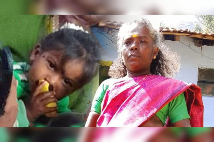ജനല് തകര്ത്ത് വീടിനകത്തേക്ക് കടന്നു, വാൽപ്പാറയിൽ മൂന്ന് വയസുകാരിക്കും മുത്തശ്ശിക്കും ദാരുണാന്ത്യം