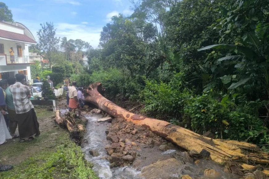 ഇടുക്കിയിൽ കനത്ത മഴ നാശനഷ്ടമുണ്ടാക്കി; മുല്ലപ്പെരിയാർ ഡാമിന്റെ ഷട്ടറുകൾ തുറന്നു