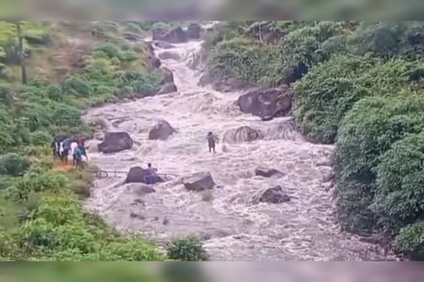 വിനോദസഞ്ചാരികളുടെ ശ്രദ്ധയ്ക്ക്; വാല്‍പാറയിലേക്ക് നവംബര്‍ ഒന്നുമുതല്‍ ഇ- പാസ് നിര്‍ബന്ധം