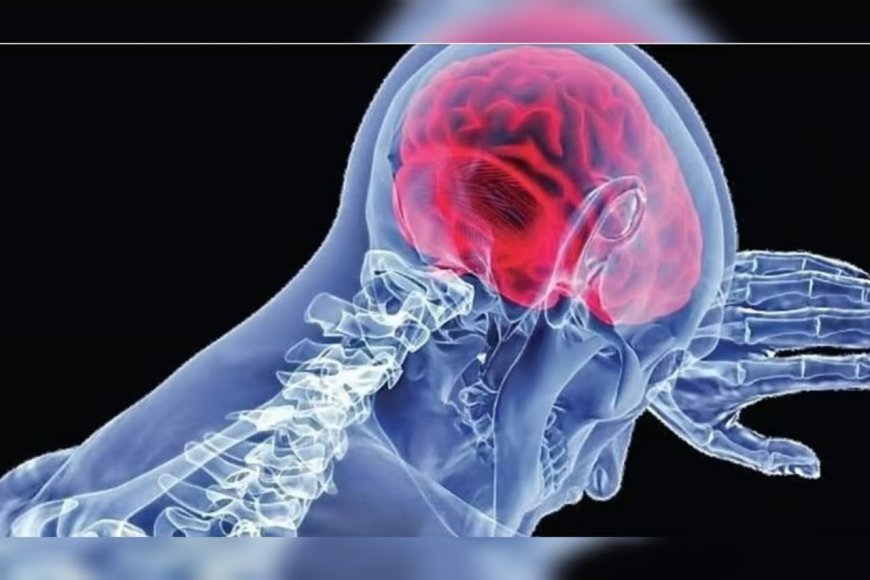 വീണ്ടും അമീബിക് മസ്തിഷ്‌കജ്വരം ബാധിച്ച് മരണം: സംസ്ഥാനത്ത് രോഗബാധയെക്കുറിച്ചുള്ള ആശങ്ക വർധിക്കുന്നു