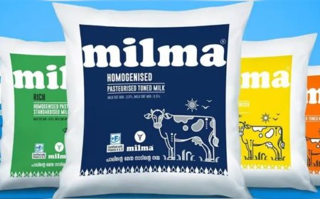 സംസ്ഥാനത്ത് മിൽമ പാൽ വില വർധന ഉടൻ: തദ്ദേശ തെരഞ്ഞെടുപ്പിന് ശേഷം പ്രഖ്യാപനമെന്ന് മന്ത്രി