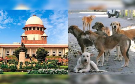 തെരുവുനായ പ്രശ്നത്തിൽ സുപ്രധാന ഉത്തരവുമായി സുപ്രീം കോടതി