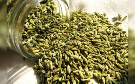 പെരുംജീരകം ഡയറ്റില്‍ ചേര്‍ക്കൂ, വൃക്കകളുടെ സംരക്ഷണത്തിന് ഉത്തമം